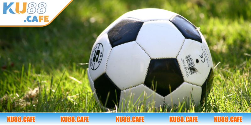 Bật mí cách đánh kèo rung ẵm lợi nhuận lớn