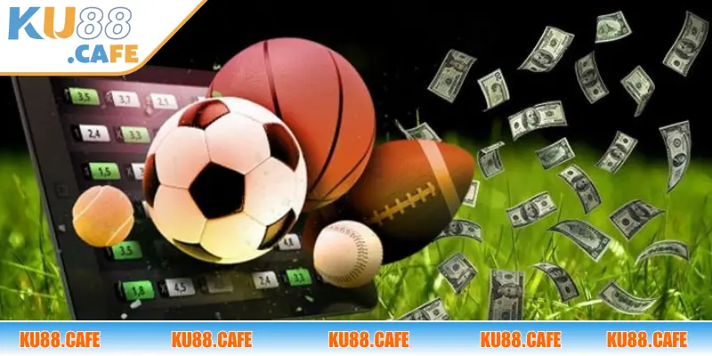 Đối chiếu thông tin với tỷ lệ kèo nhà cái