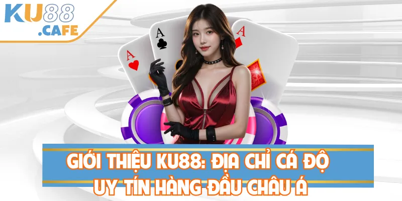 Giới thiệu nền tảng cá cược hàng đầu