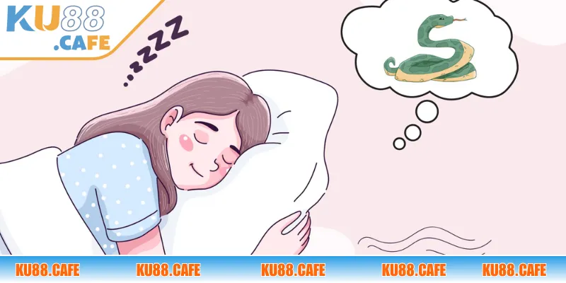 Luận giải ý nghĩa của các lần nằm mơ thấy rắn