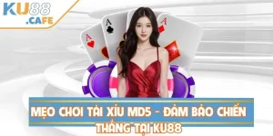 Mẹo Chơi Tài Xỉu MD5 - Đảm Bảo Chiến Thắng Tại KU88
