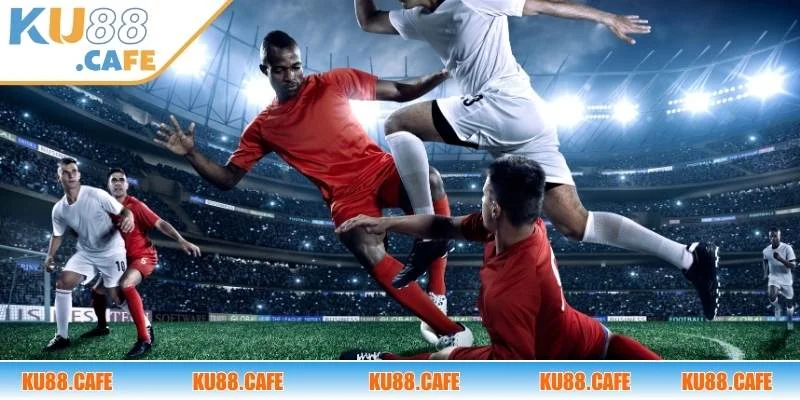 Những sảnh thể thao KU88 nổi bật đang hoạt động